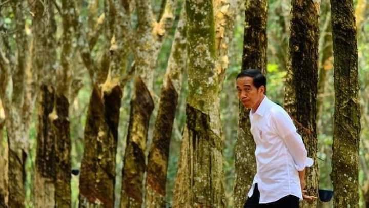 Dana Kampanye Jokowi-Ma'ruf Capai Rp600 Miliar, Uang dari Mana?